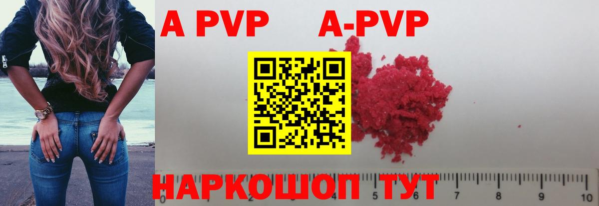 A PVP СК КРИС Петропавловск-Камчатский