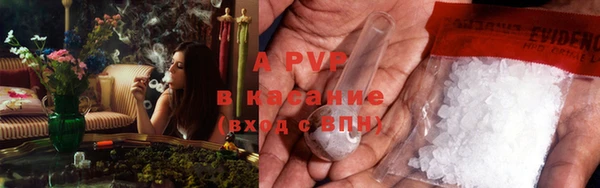 бошки Белокуриха