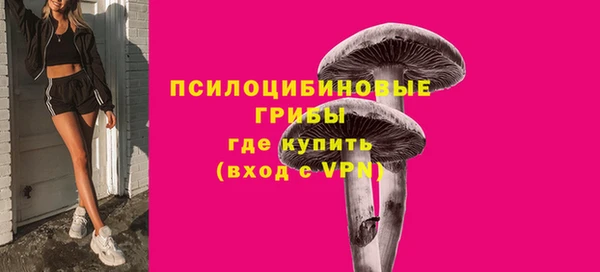 а пвп мука Саяногорск