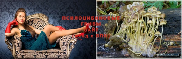 прущие крисы Алзамай