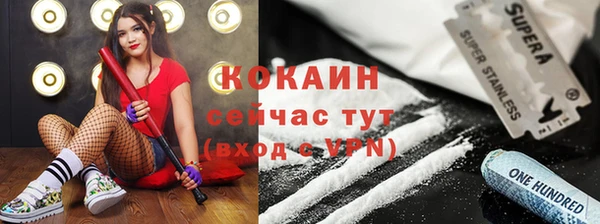 гашик Белоозёрский