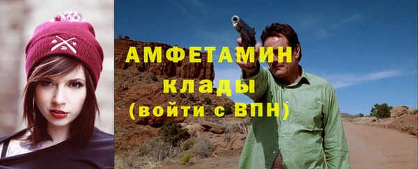мет Алексин
