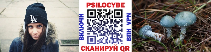Галлюциногенные грибы Cubensis  ссылка на мегу онион  Петропавловск-Камчатский 