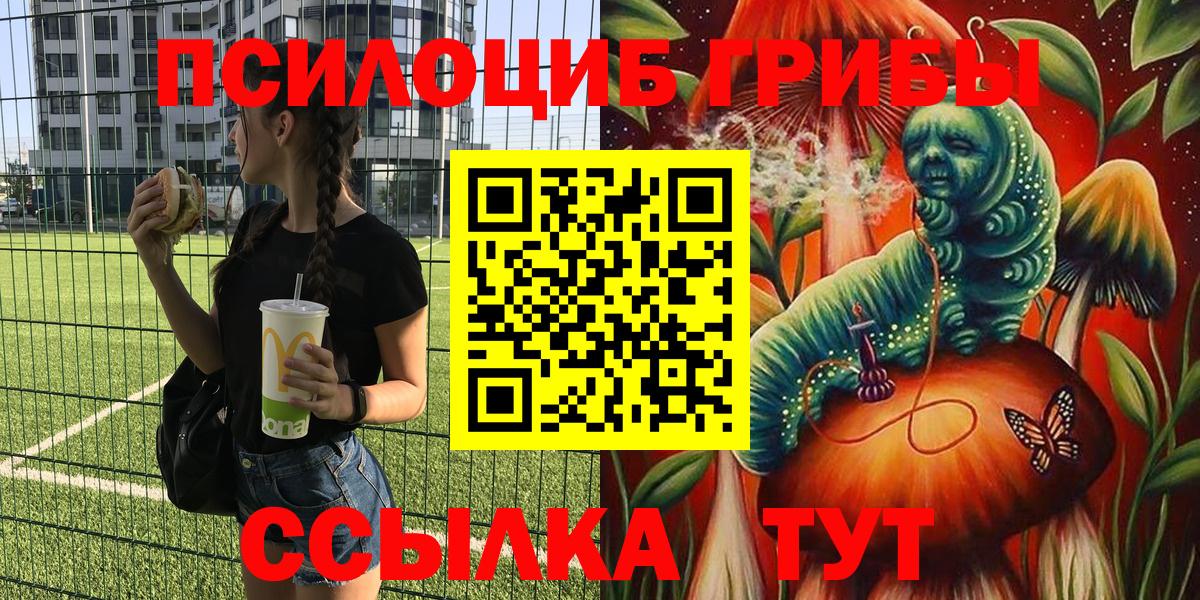 сколько стоит  Псилоцибиновые грибы Psilocybe  Вход с VPN  Галлюциногенные грибы MAGIC MUSHROOMS  Петропавловск-Камчатский 