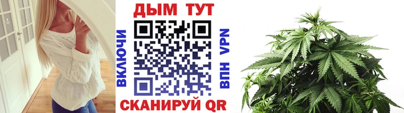 закладки Петропавловск-Камчатский Канабис Bruce Banner